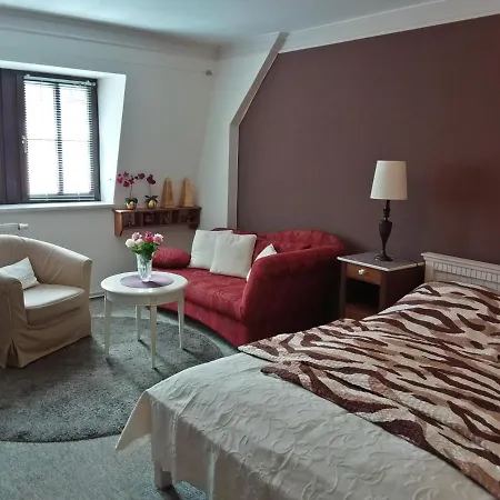 City 3te Etage - Zentral In Der Dresdner Neustadt Louisenstrasse Дрезден