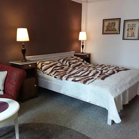 City 3te Etage - Zentral In Der Dresdner Neustadt Louisenstrasse アパート *